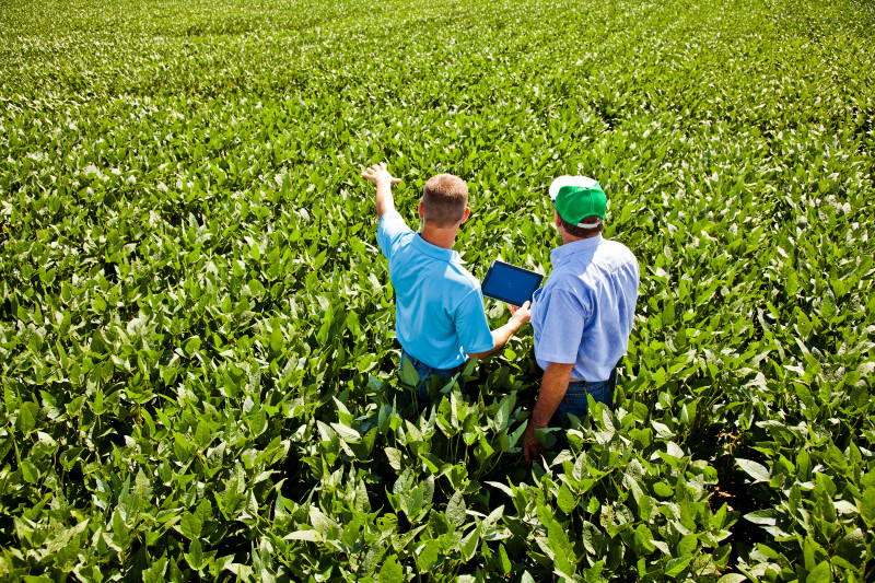 farmer-image
