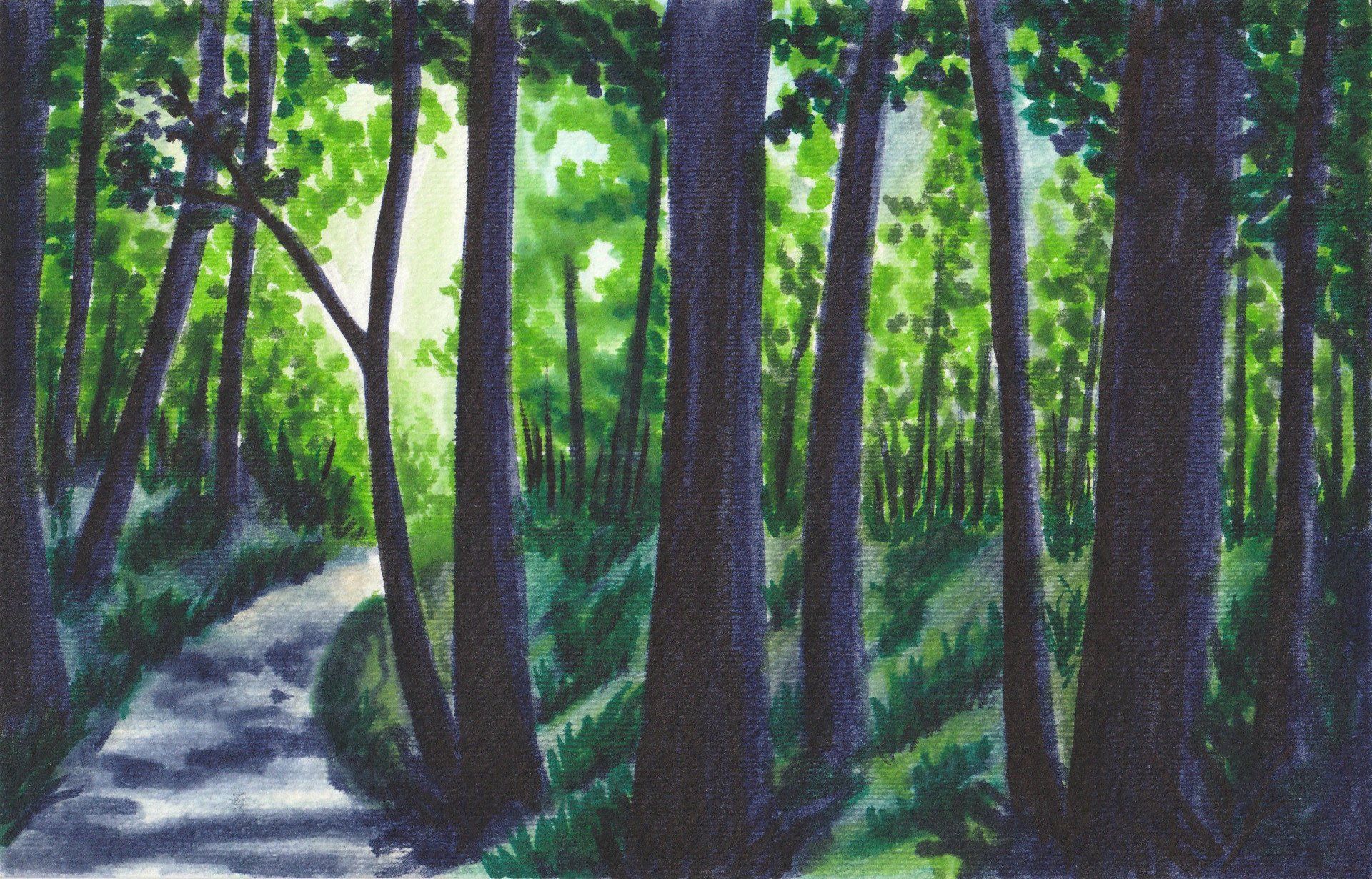 Forest+2-1920w