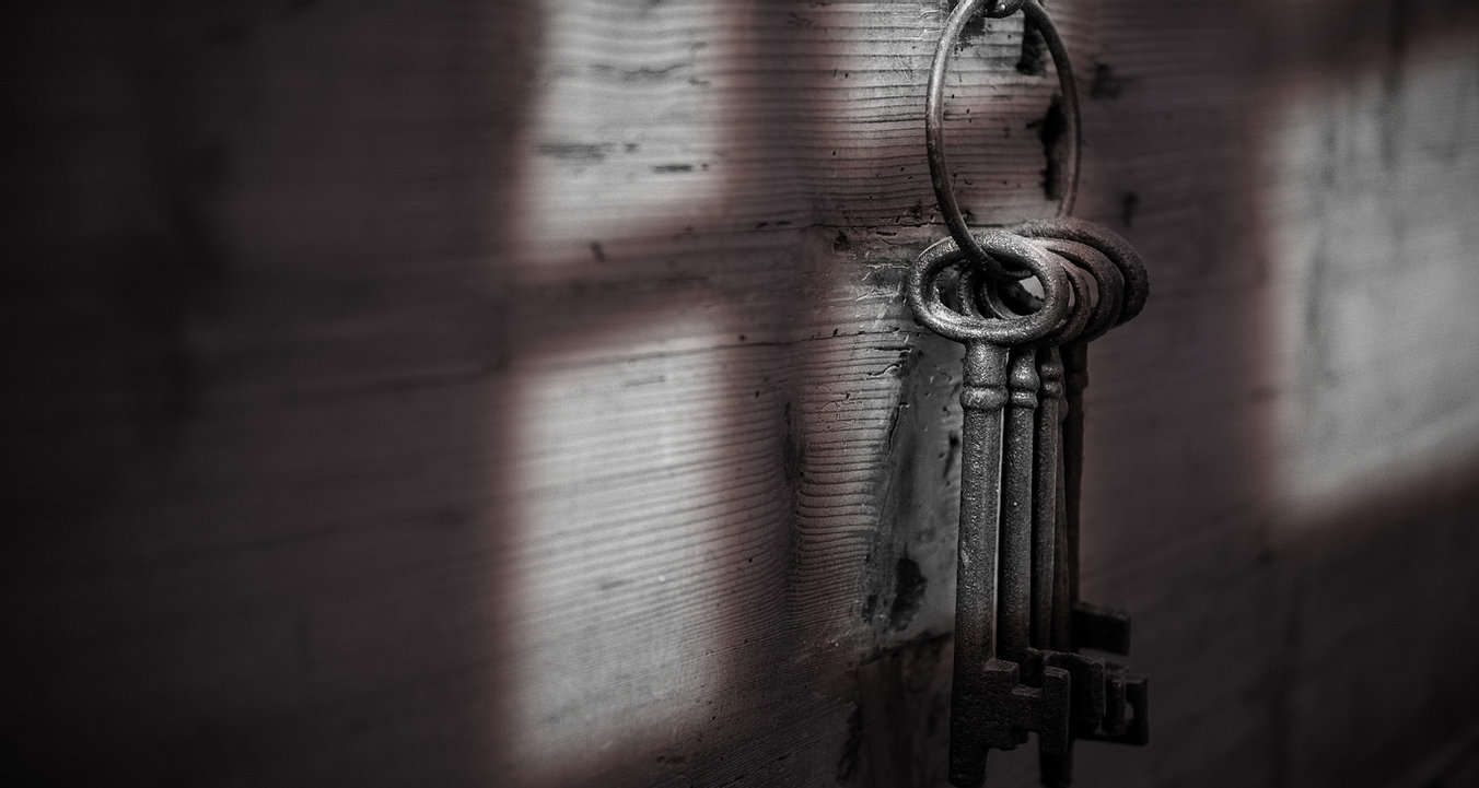 2d3b19_d7c66de05ad14823b7306e751c6e1d32~mv2