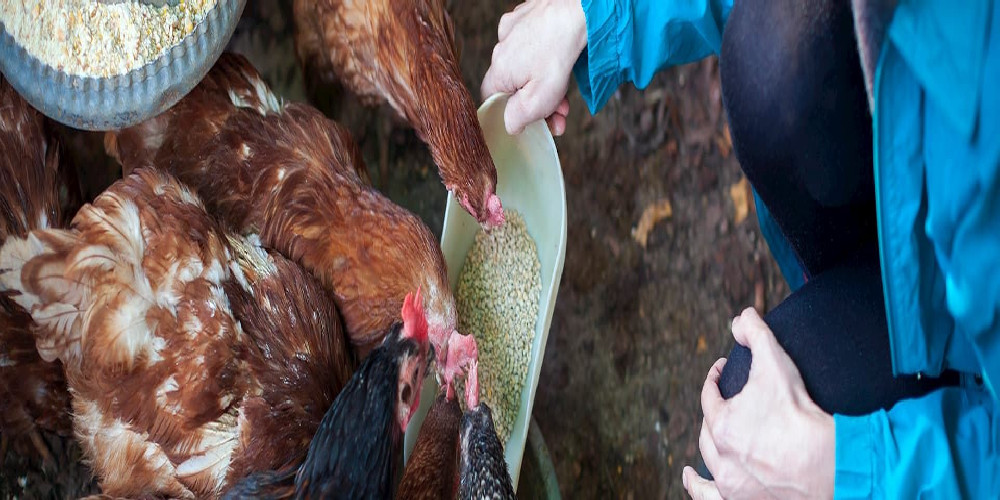 home_1920x640_lg home_1920x640_lg