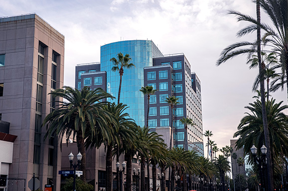 ALL Trial Lawyers – CPS Lawyers-Cover Page