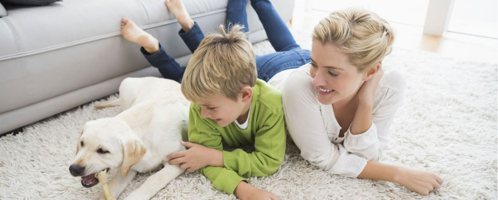 carpet-cleaning-in-denver-hero-026d5ed5 carpet-cleaning-in-denver-hero-026d5ed5