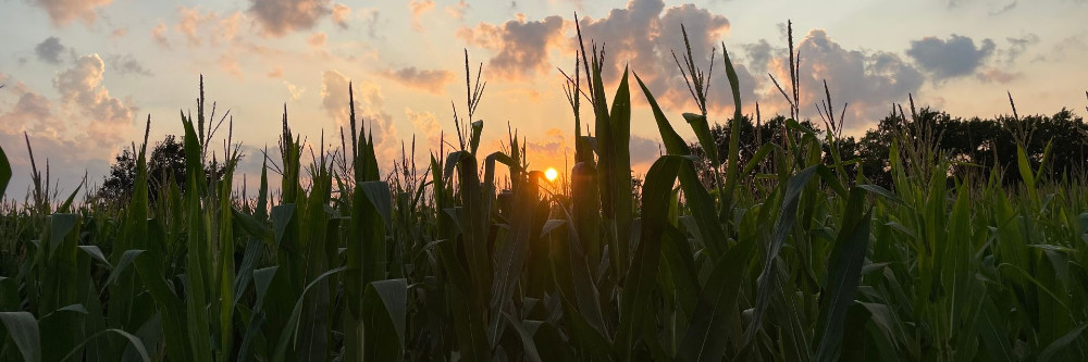 agronomy-1920×640(1)